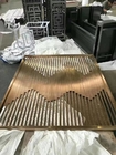 Полноавтоматический завод покрытия мебели PVD с роторным насосом лопасти